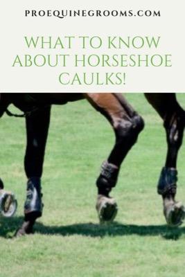 caulks or studs for horseshoes