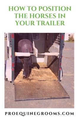position horses in the trailer