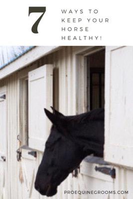 ways to keep your horse healthy