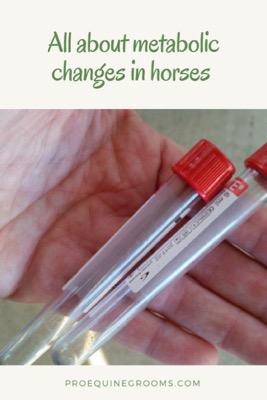 spot metabolic changes in your horse