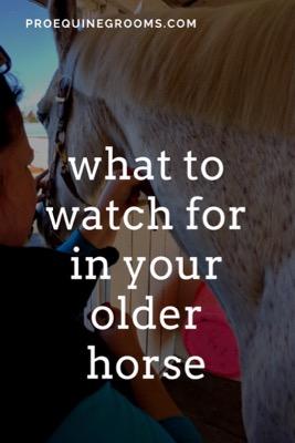 signs to watch for in older horses