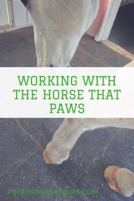 working with the horse that paws