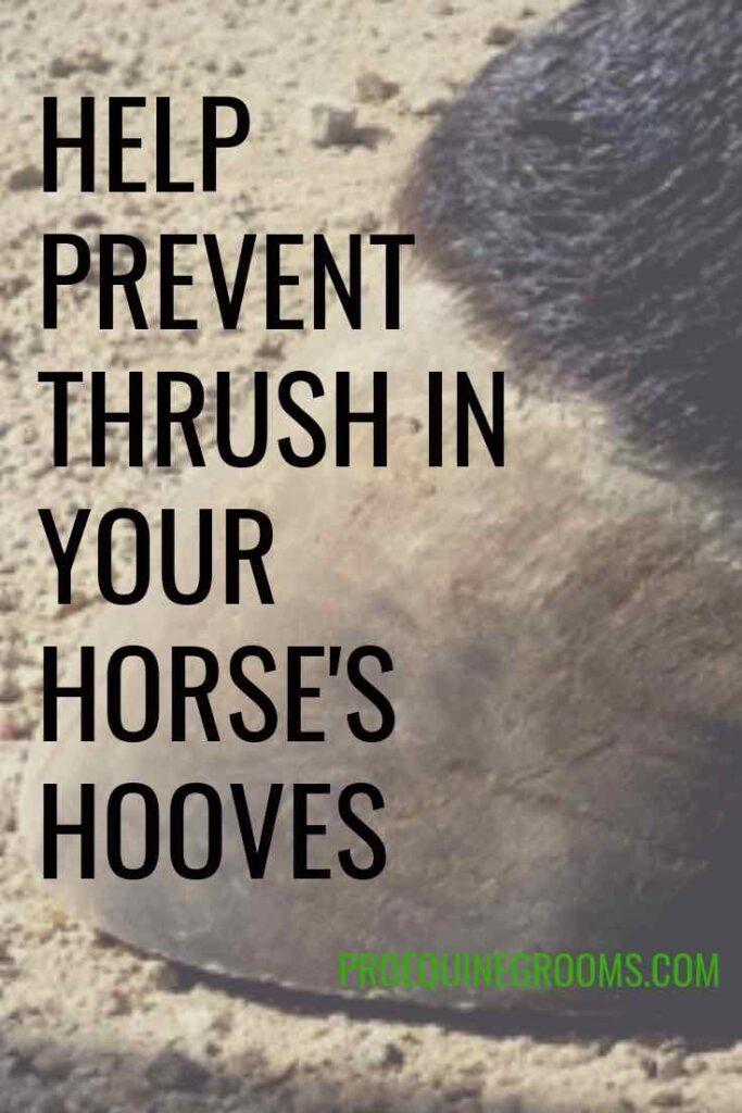 Help Prevent Thrush Pro Equine Grooms
