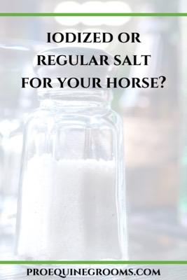 what type of salt for horses