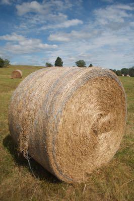 round bale with fine netting on it