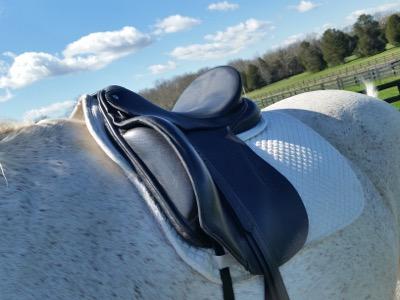 bad photo of a dressage saddle on a horse