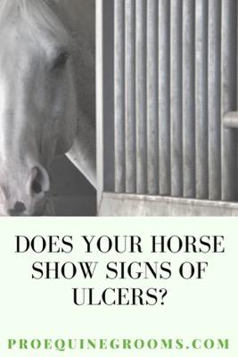 signs of ulcers in horses