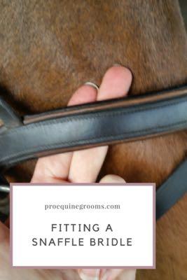 fitting a snaffle bridle
