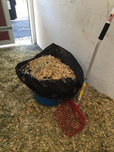 muck bucket and rake in a stall with deep shavings