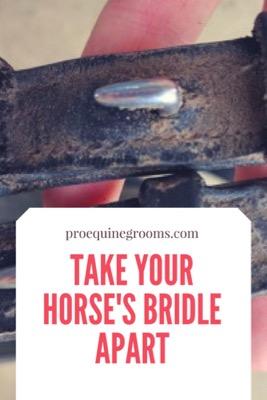 take your bridle apart to clean it