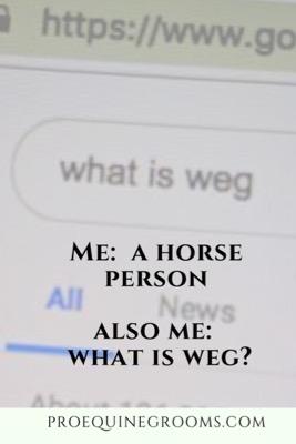 what is weg in the horse world