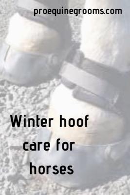 winter hoof care 