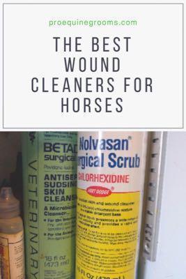 best wound cleaners for horses