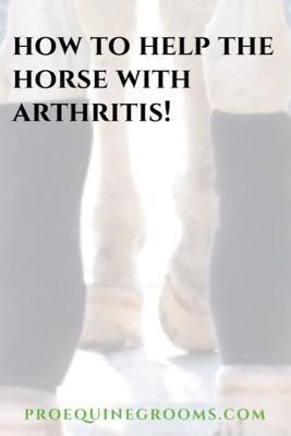 help the horse with arthritis