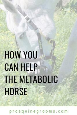 help horse with metabolic syndrome