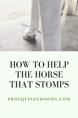 help the horse that stomps