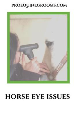 eye issues in horses