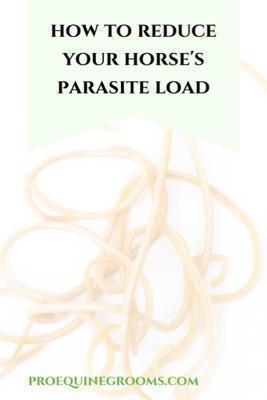 reduce your horse's parasite load