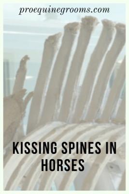 kissing spines in horses