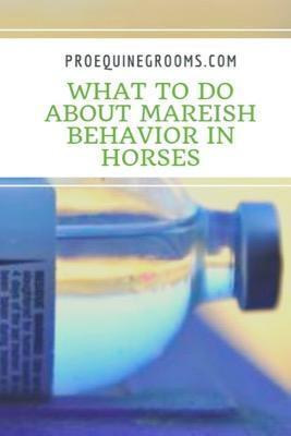 mareish behavior in horses