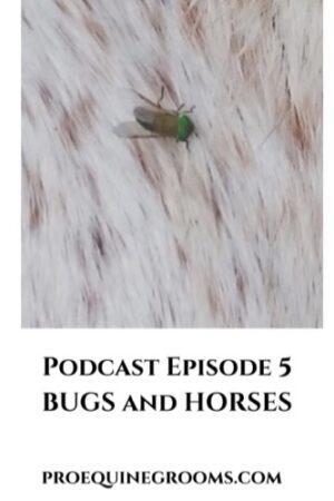 podcast bugs and horses