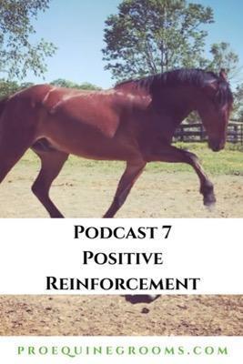 positive reinforcement podcast