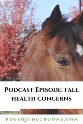 podcast fall health concerns
