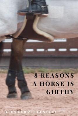 reasons a horse is girthy