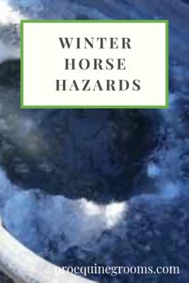 winter hazards for horses 