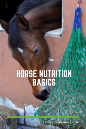 horse nutrition basics 9