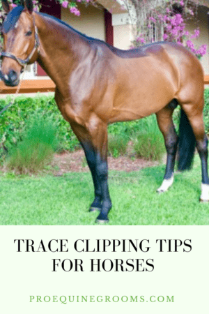 trace clipping tips 12