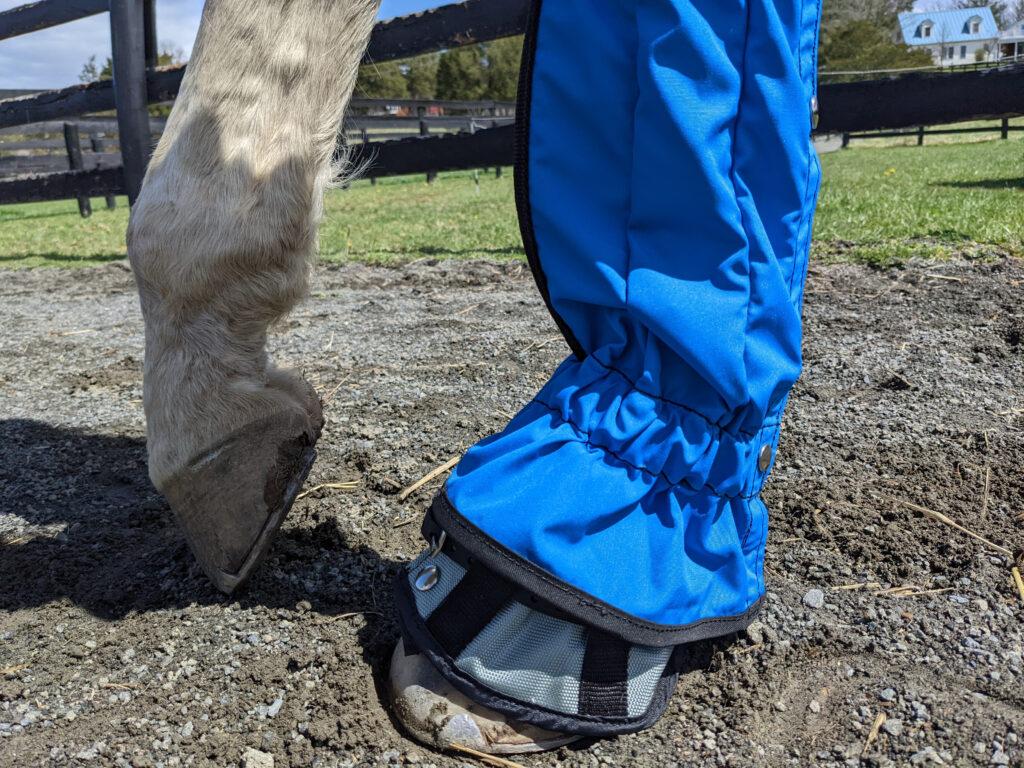 mud prevention boots and bell boot for horses