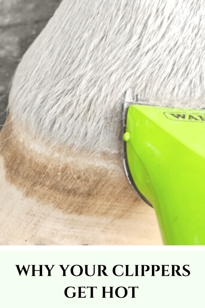 Why Your Horse Clippers Get Hot Pro Equine Grooms
