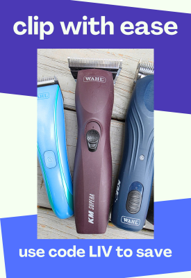 wahl horse clipping supplies