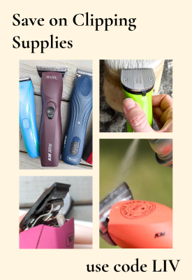 wahl horse clipping supplies