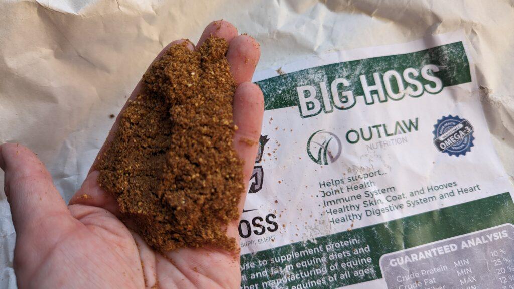 Flaxseed for Horses Pro Equine Grooms