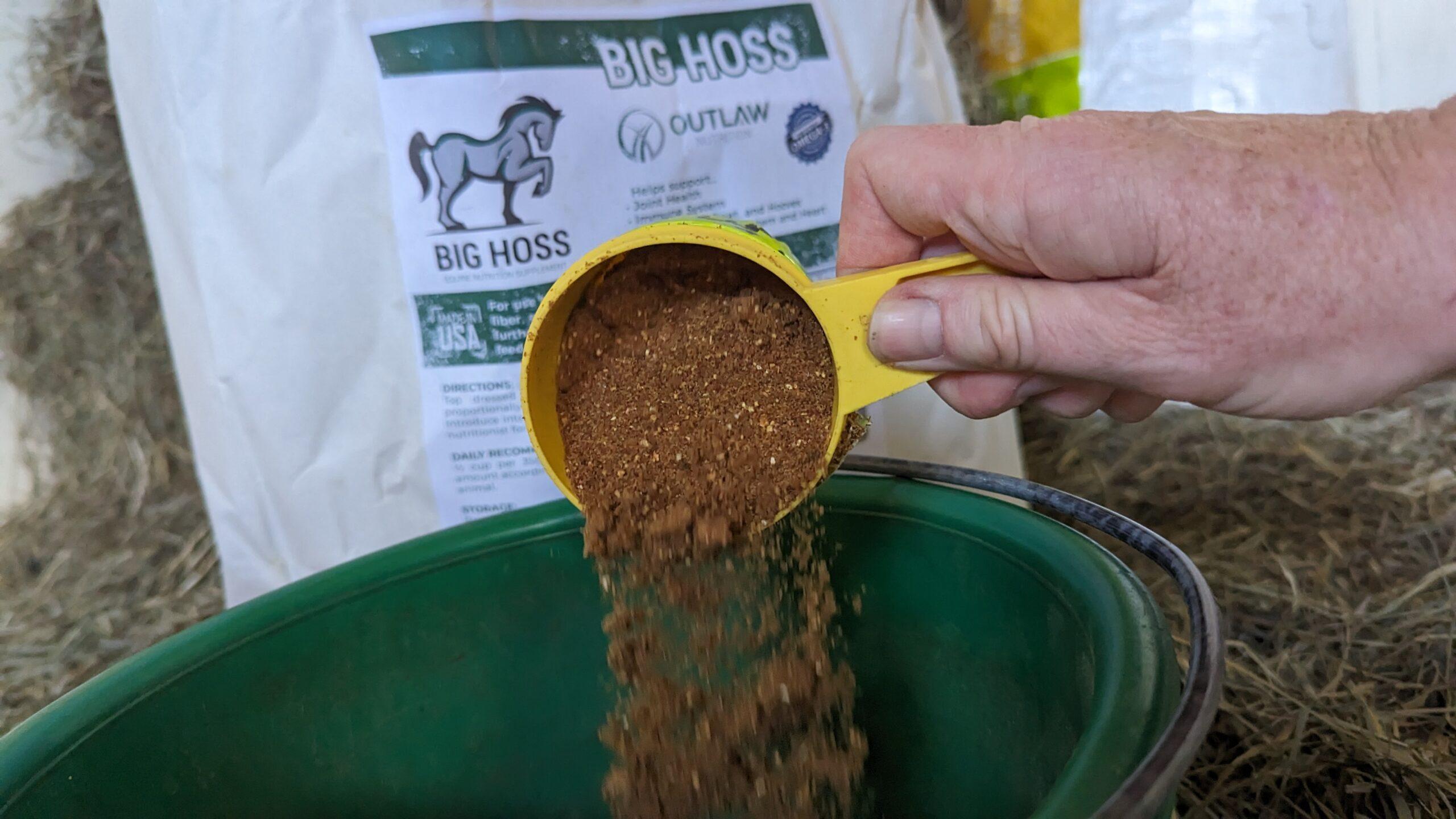 flax for horses