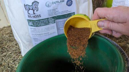 flax for horses