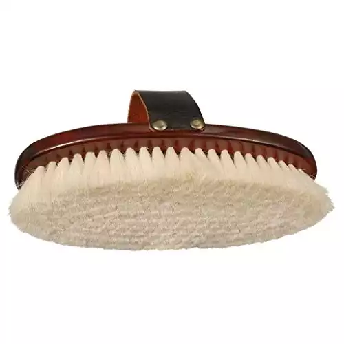 H.A.S HAAS Mould Horse Brush Large Silver, Medium