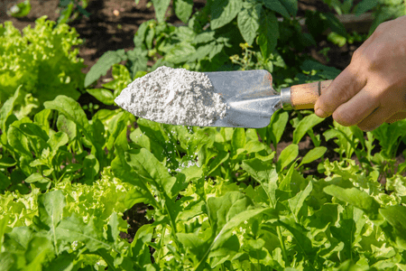 a garden tool holding DE