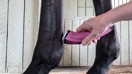 holding trimmers to rake down a horse's leg and clip the area