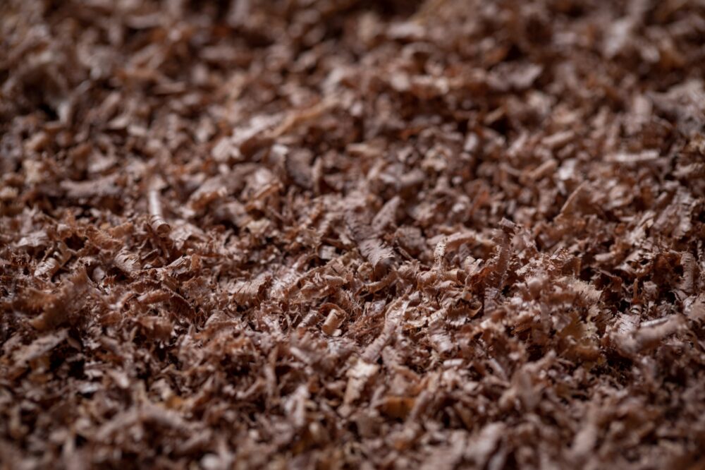 black walnut shavings