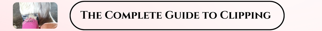 complete guide to clipping article link