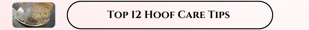 hoof care article link