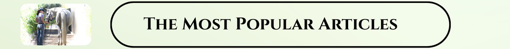 popular articles social links