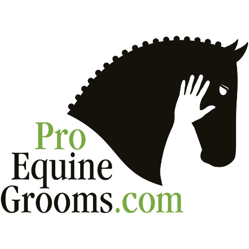 Professional Equine Grooms, LLC logo
