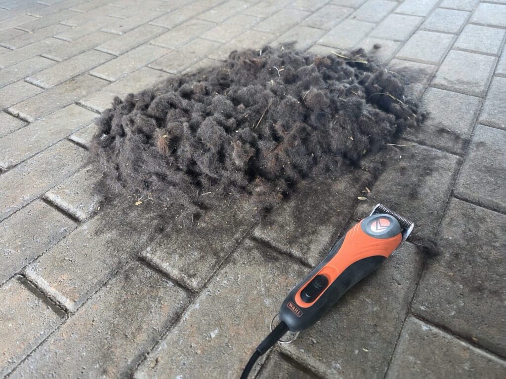 horse clippers alongside a pile of hair from a trace clip