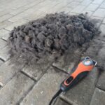 horse clippers alongside a pile of hair from a trace clip