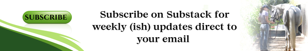 subscribe on substack home page banner button