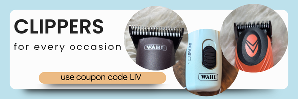 wahl front page ad 600x200